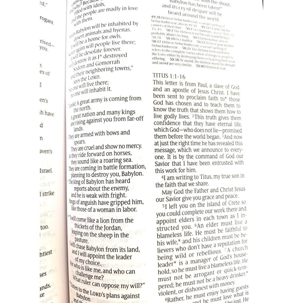 The One Year Study Bible NLT 2004 Paperback – Tyndale House – Daily Reading Plan - Picture 10 of 12